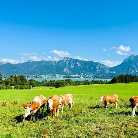 Lägenhet Bio-ferienhof Köpf Rieden