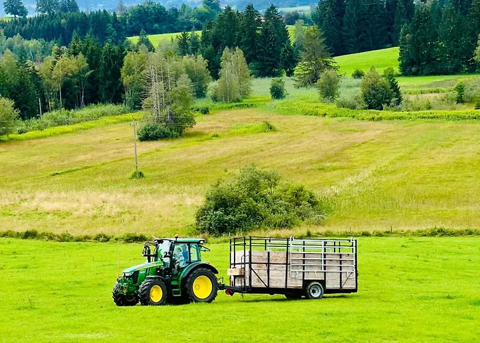 Bio-ferienhof Koepf 아파트 리덴