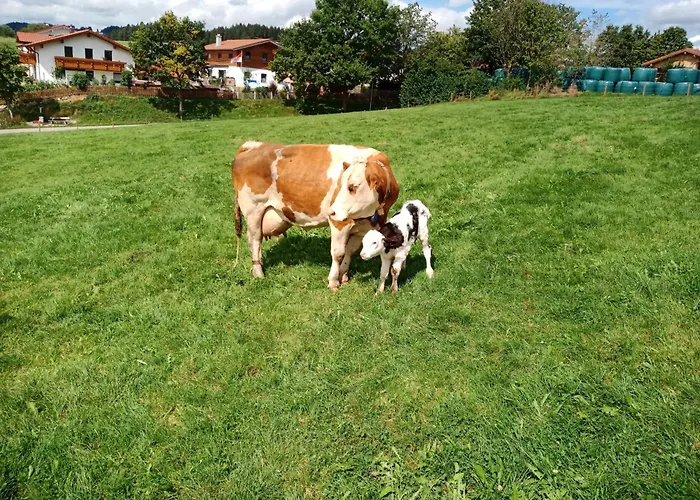 Bio-ferienhof Koepf 리덴